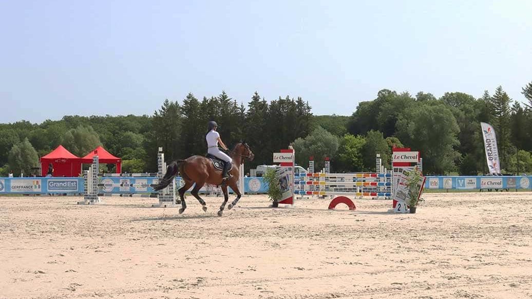 En un recinto ferial, un jinete aborda un obstáculo con su caballo.